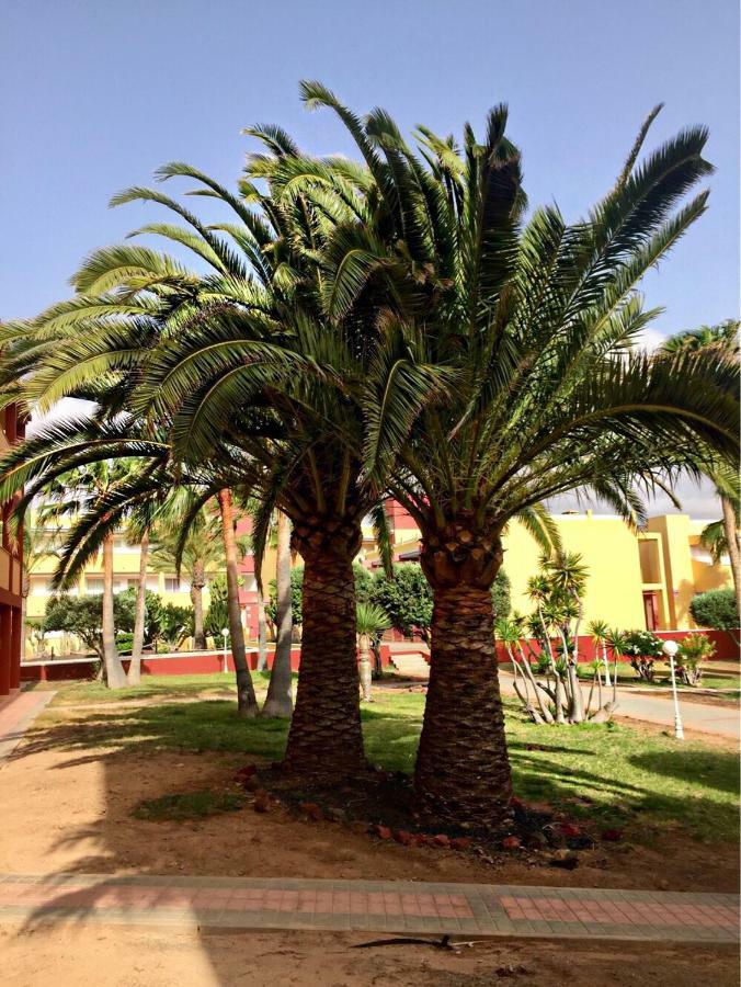 Fuerteventura - La Caleta, Parques Holandes Apartamento La Oliva Exterior foto